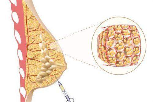 湖州心悦医疗美容门诊部诊疗项目：
