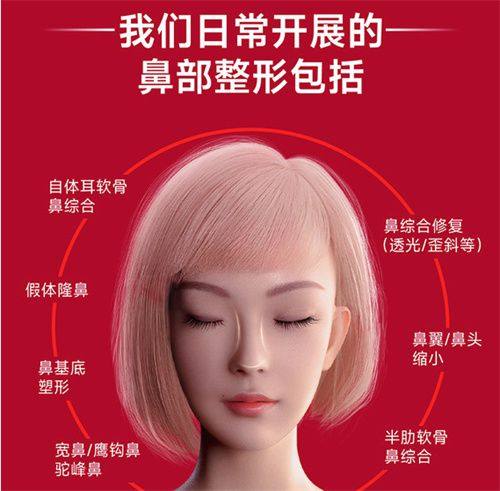 三、显微技术加持：放大视野下的精细操作