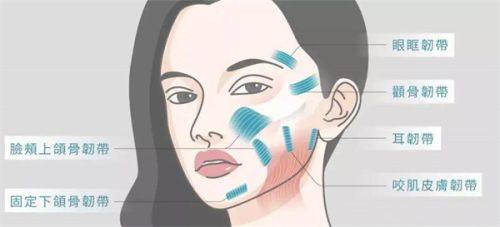 二、小女孩下眼袋常年发黑的常见诱因解析