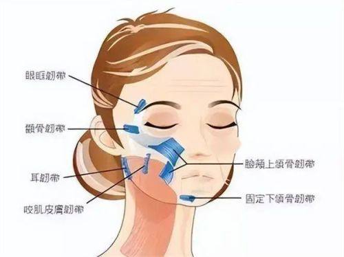 三、陈旧性烫伤疤痕的针对性修复方案