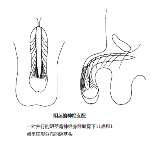 五、科学应对眼袋和黑眼圈的核心原则