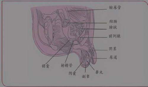 四、怎么可以去除眼袋不留疤痕