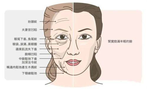 二、维e去眼袋的正确方法