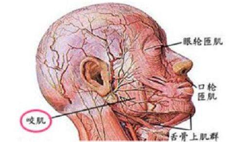 五、眼袋复发后的修复与预防建议