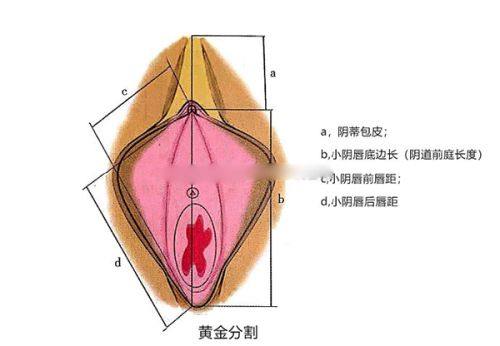 四、打瘦咬肌针的成效维持时长