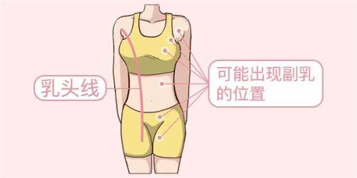 五、影响眼袋脂肪填充维持时长的关键因素