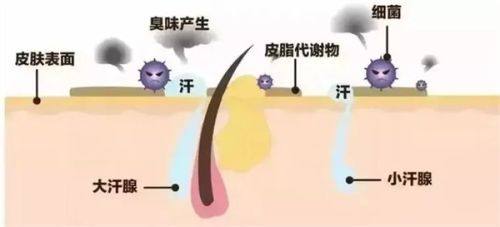 二、医用硅酮贴片：药膏外的效率高修复选择