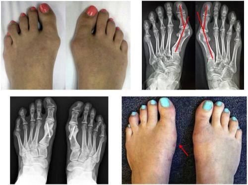 泸州杨氏牙科诊所预约挂号方式：