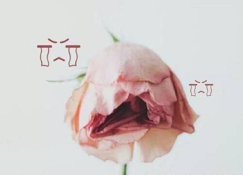 二、按人群适配选:哪种去眼袋手术更适合你