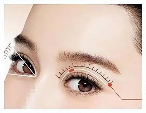 郑州艺德雅医疗美容价格表: