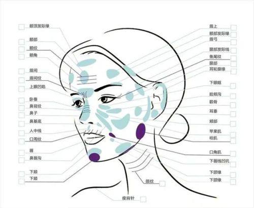 三、术后半个月仍有肿胀：暂缓种睫毛