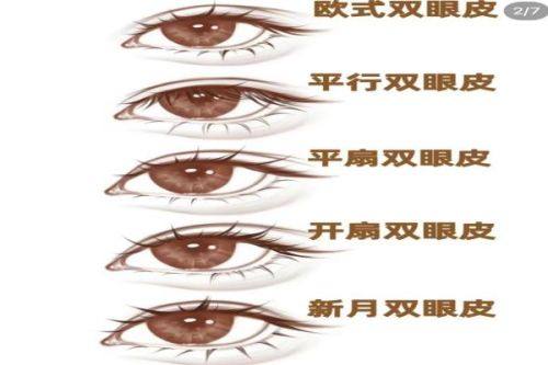 上海交通大学医学校附属瑞金医院整形科医生名单及擅长领域：