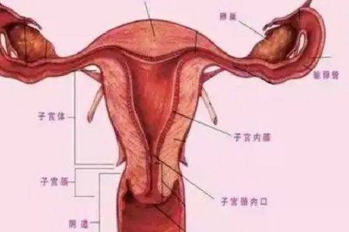 燕郊哪割双眼皮好？2家本地优质机构盘点+选院技巧/双眼皮价格全参考