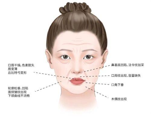 五、修复的难度与风险防控