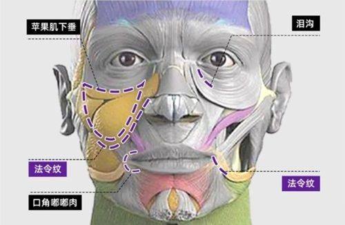 深圳吴玮综合门诊部医疗美容科医生名单及擅长领域：