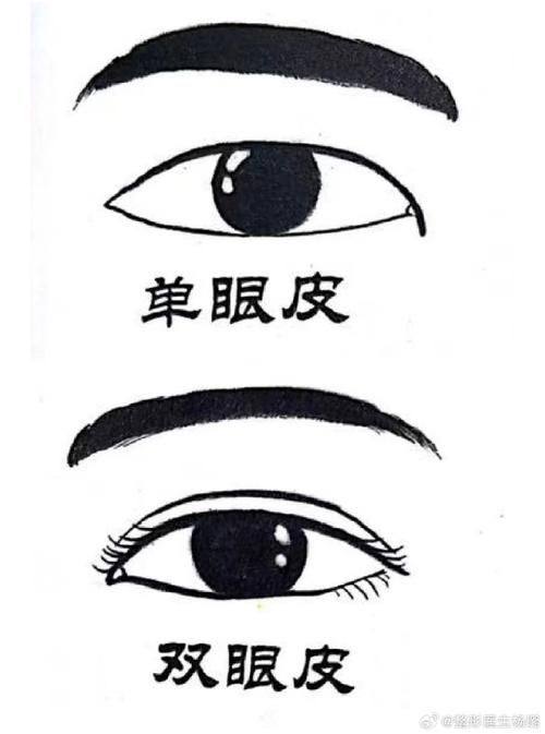 常熟美贝尔美容医院价格表: