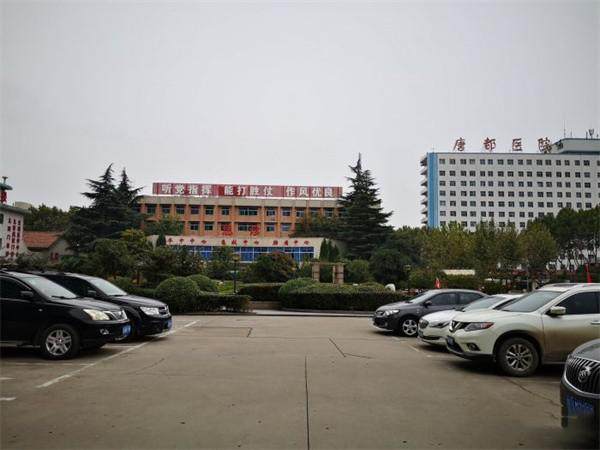 西安唐都医院整形科擅长项目: