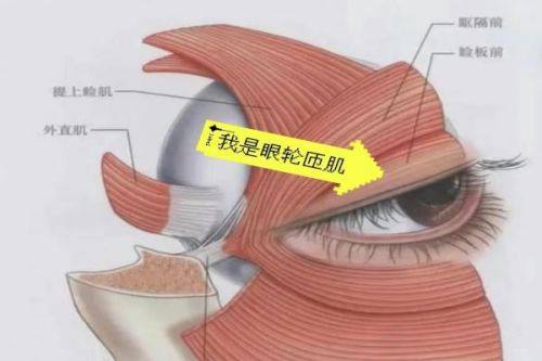 Santiphap医生擅长领域：