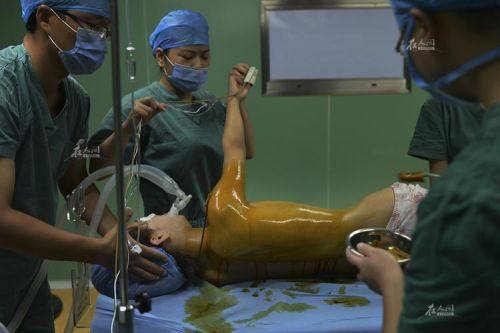 广州爱尔丽整形医疗美容门诊部地址电话及营业时间: