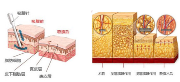 邵斌医生怎么预约