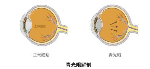 山东临沂郯城新益民医院医生名单及擅长领域