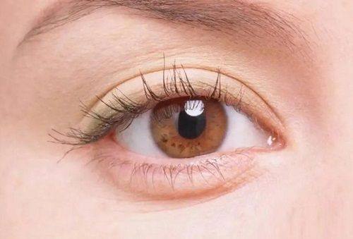 signature整形外科地址电话及营业时间