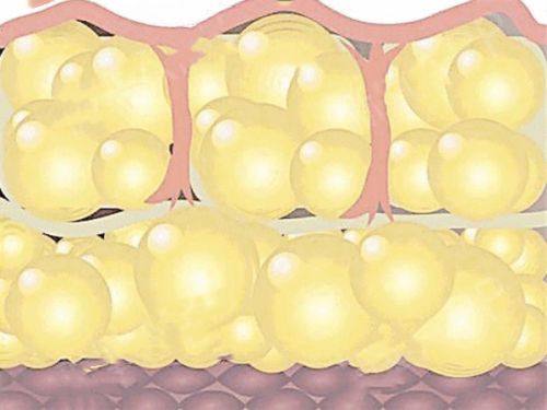 四、总结：科学祛除眼袋黑眼圈，避开误区选对方法