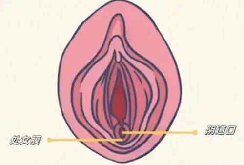 四、瘦脸针间隔多久打一次成效至佳