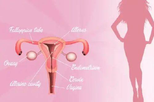 六、天生内双的实用改善方案分享