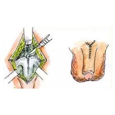 夏容容医生擅长领域