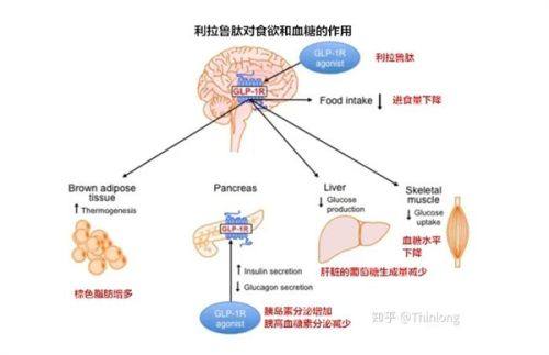 四、分类型针对性修复一年疤痕